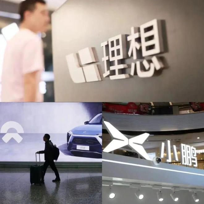 蔚小理的分化
