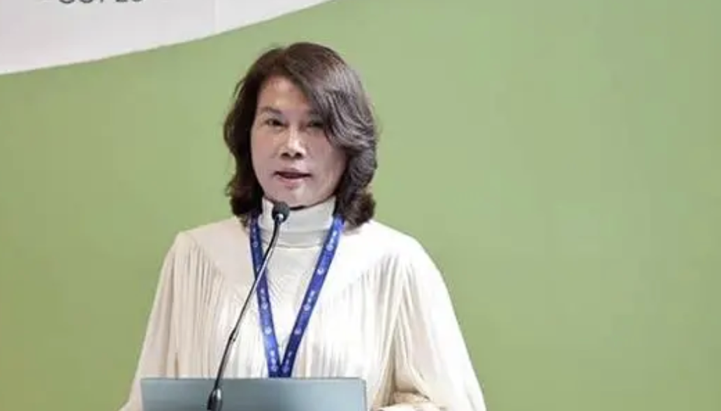 董明珠现身上海SNEC展 直言“市场不相信眼泪”