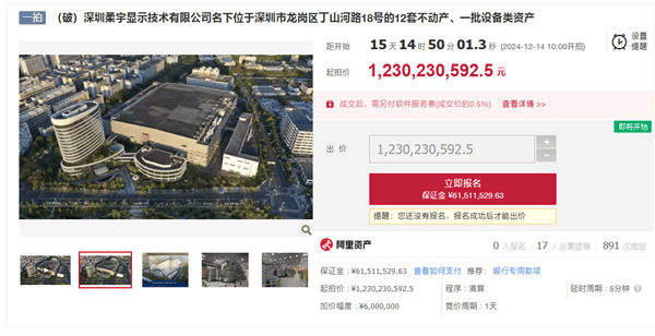 柔宇显示公司资产将拍卖：起拍价约12.3亿元 