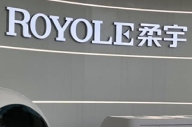 无人出价 柔宇显示名下12套不动产等资产拍卖流拍