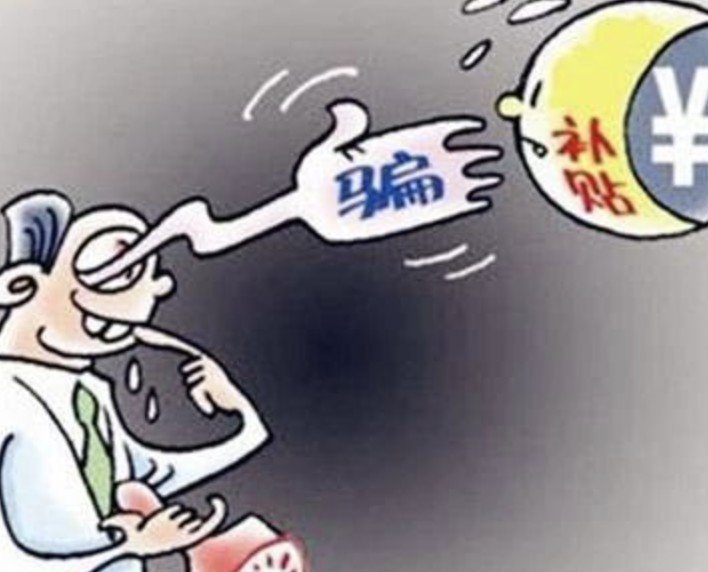 资金流失上亿！真金白银的“国补”都“补”哪去了？