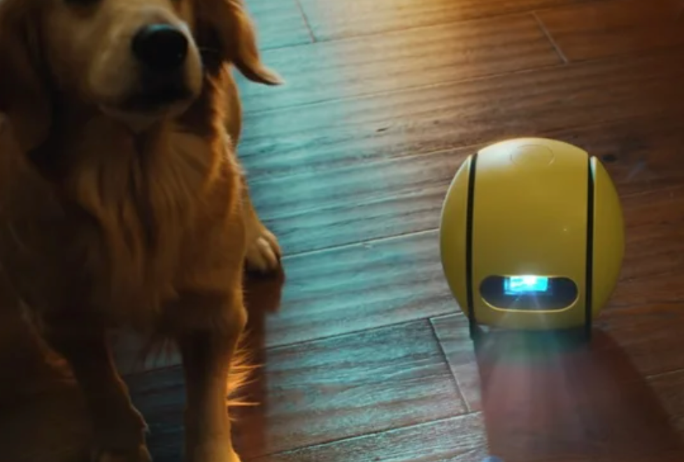 彭博社：三星已无限期搁置AI家庭机器人Ballie